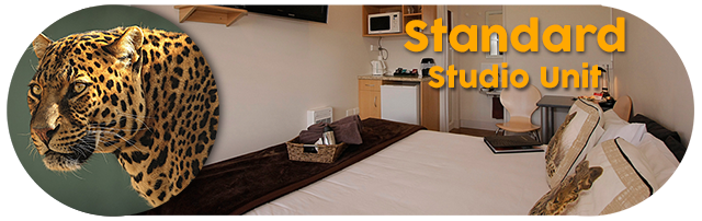 standard-bed-large