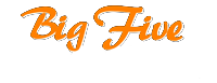 logo-white