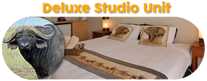 deluxe-unit-banner-small